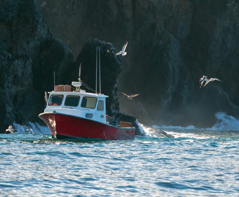 Siges bateaux professionnels maritimes