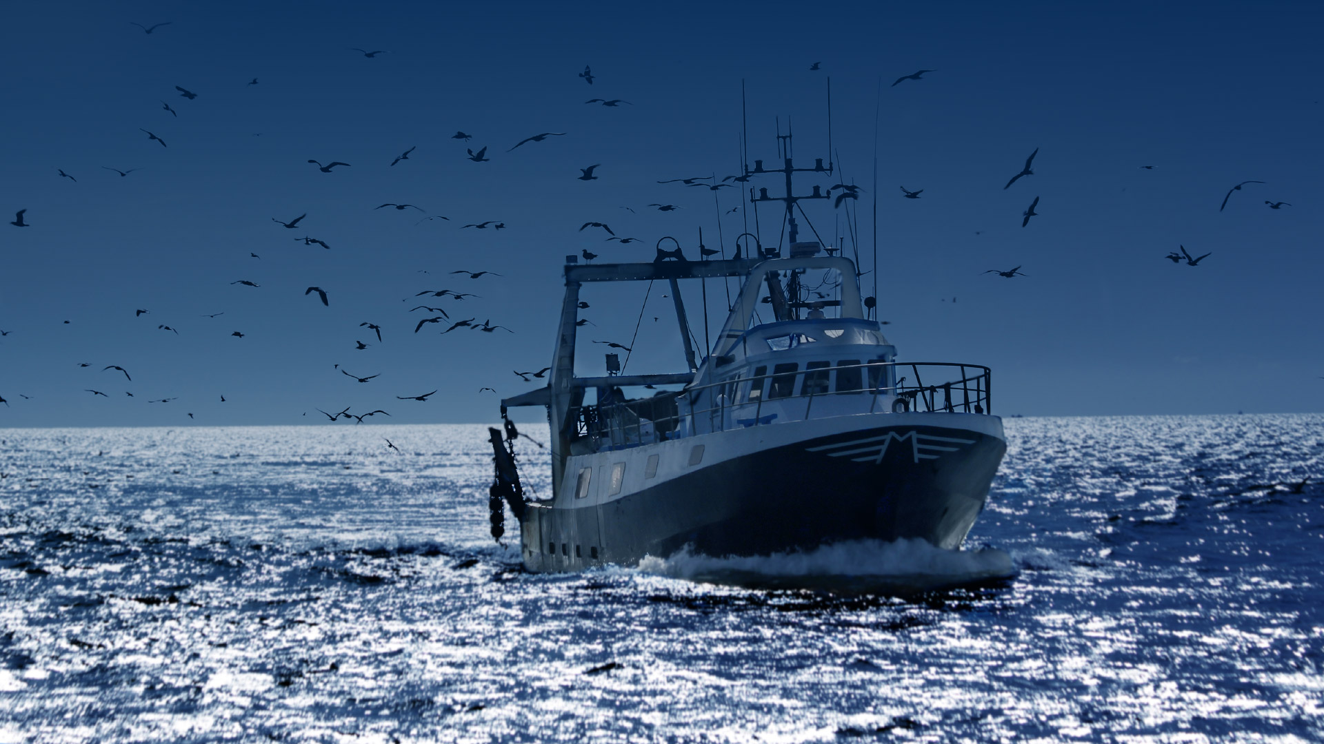 Bateaux professionnels maritimes